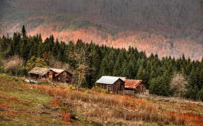 Torkul Yaylası Göleti